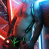 Breedwell Harnais Singlet Transistor Noir-Vert neon